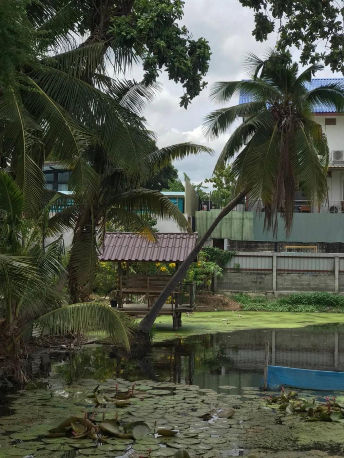 Baan Lotus Guest House Phra Nakhon Si Ayutthaya Exteriör bild